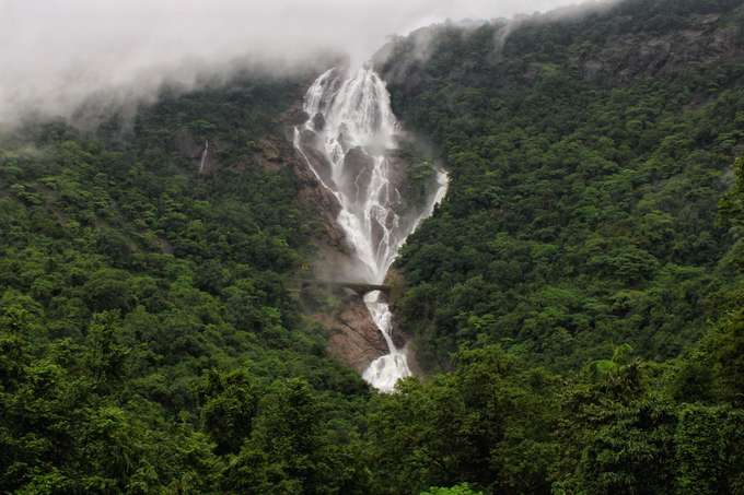 Marvel at the India's largest waterfalls- Dudhsagar falls