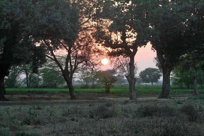 Darrah National Park