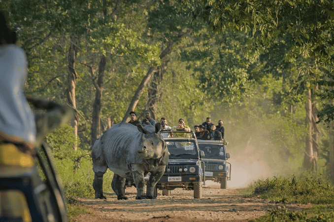 Kaziranga National Park