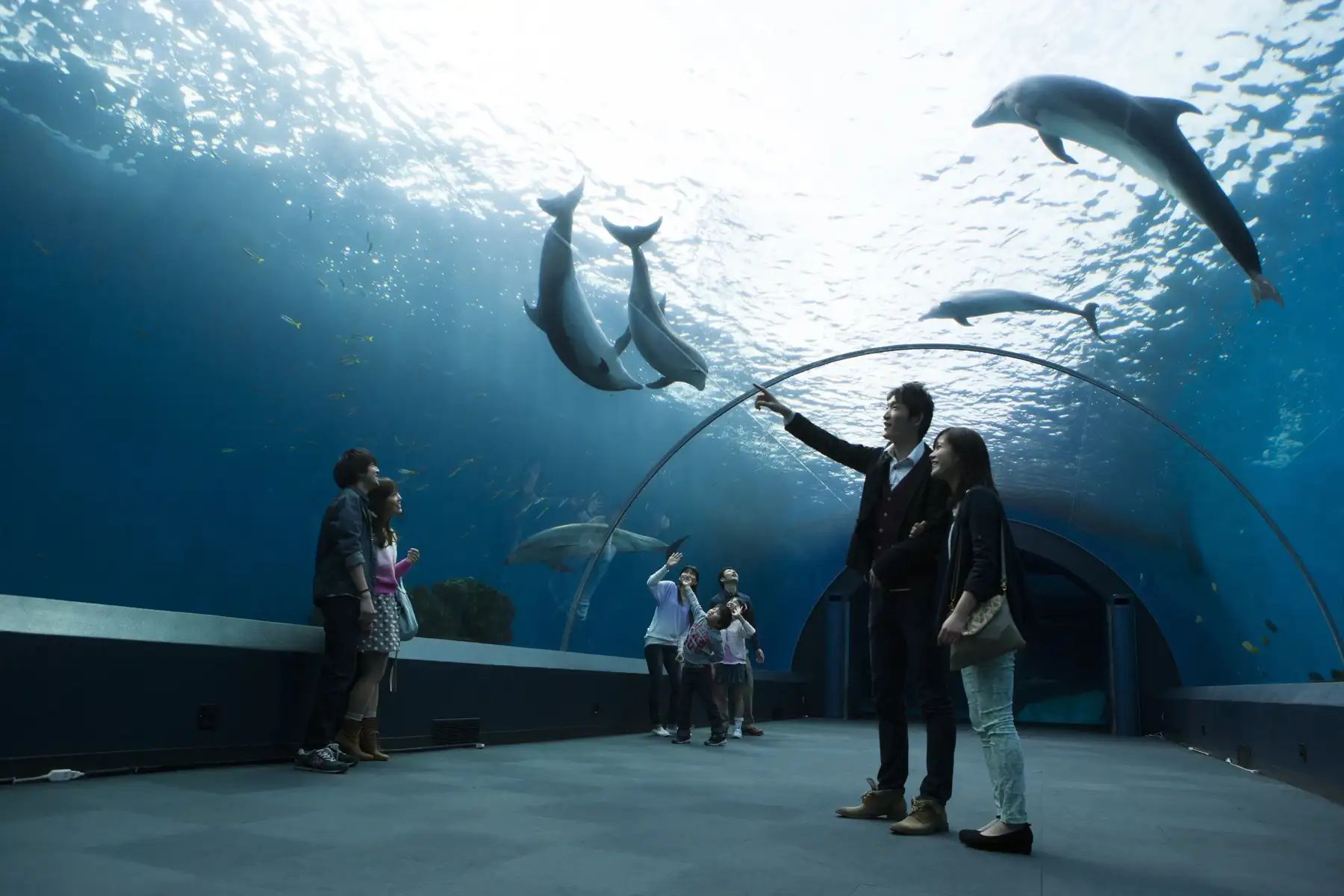 Yokohama Hakkeijima Sea Paradise Tickets Image