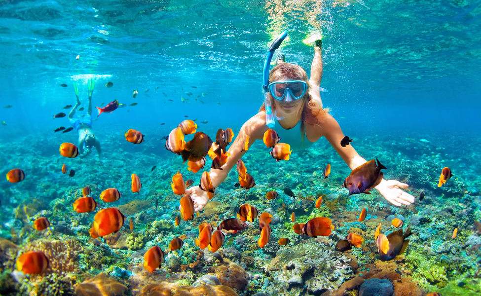 Maldives Cruise Package Image