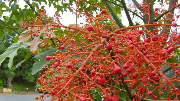 Jpls8x82a5juo9i05d2iew8fpe21 1465897114 bh9