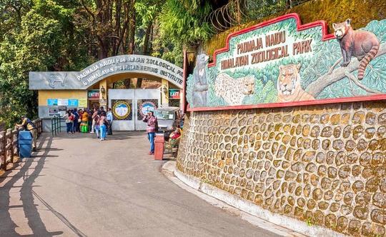 Discover Darjeeling - Train Expedition Image