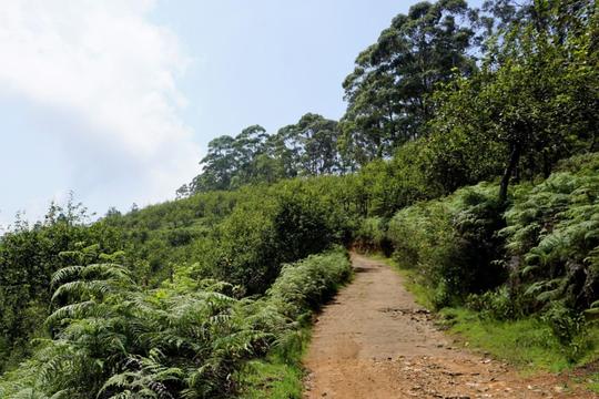 Trekking To Dolphin’s Nose Image