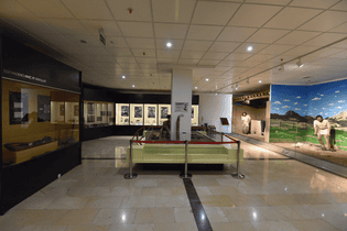 Jqz0t7efi5fhcjc3nwvsgwahuma7 tmt 2