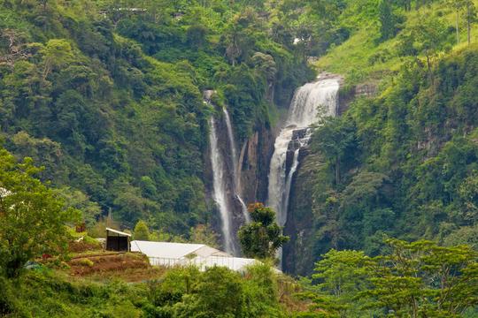 Day Trip To Nuwara Eliya Image