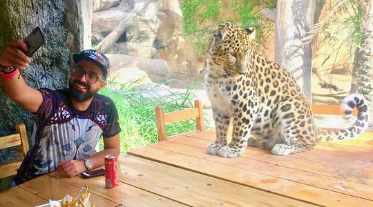 Lunch With Leopards In Abu Dhabi Image