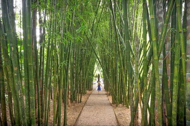 Jsppjav9ycuoc7n7wxvujuzzghgj 1465897113 bh1