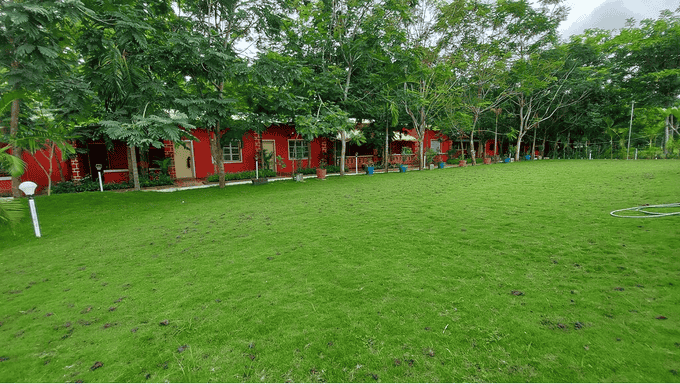 Adventurous Jungle Stay in the Heart of Dandeli