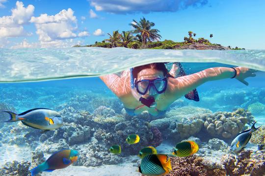 Krabi to Phi Phi Day Tour by Speedboat Image