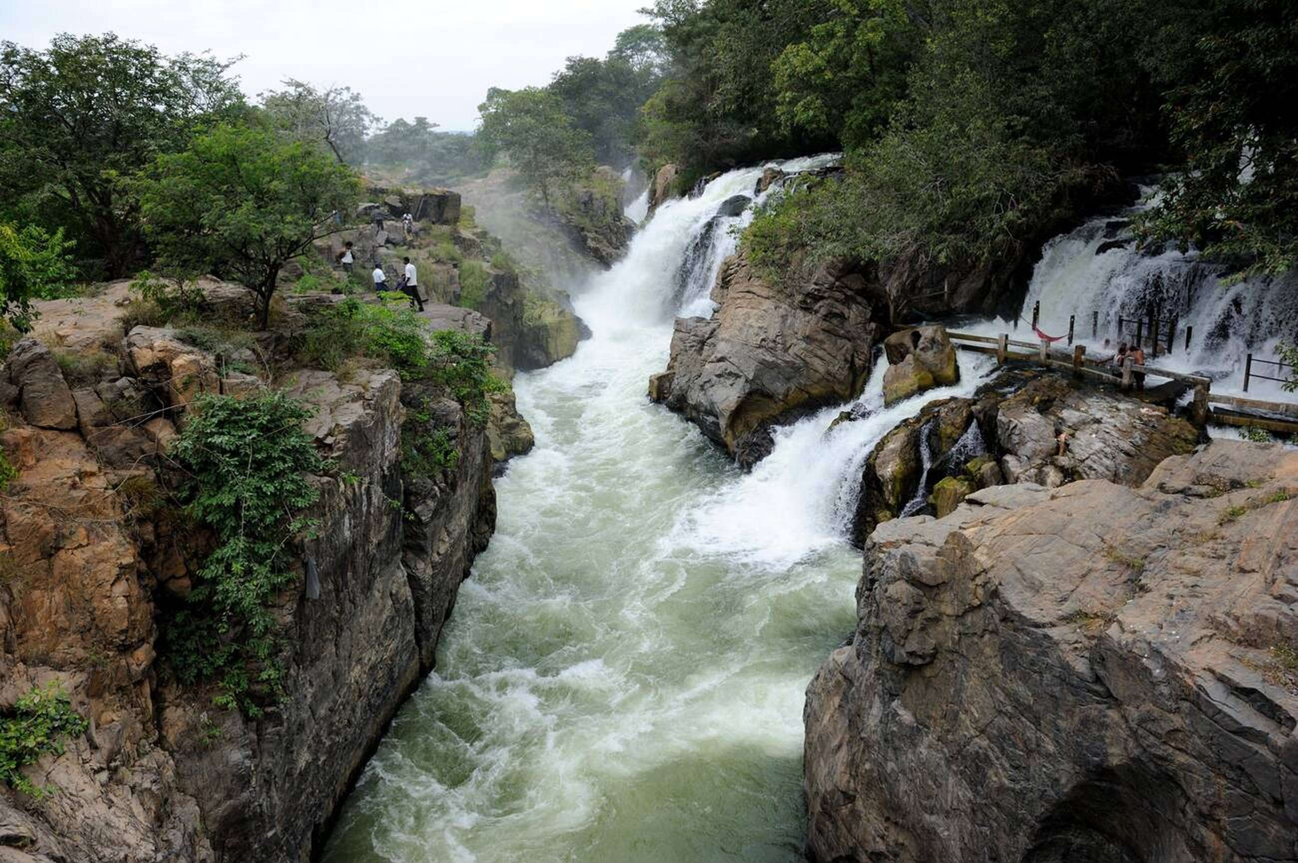 Book a trip to Hogenakkal Falls and enjoy the stunning views of the cascading water, rocky landscape, and lush greenery