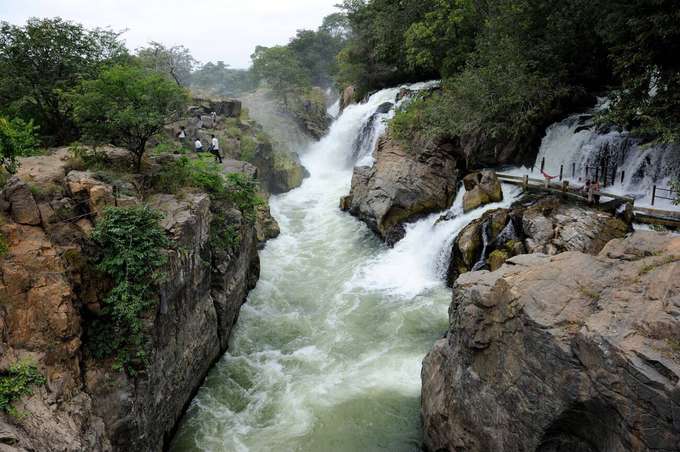 Book a trip to Hogenakkal Falls and enjoy the stunning views of the cascading water, rocky landscape, and lush greenery