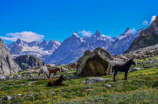 Hamta Pass Trek, from Delhi Image