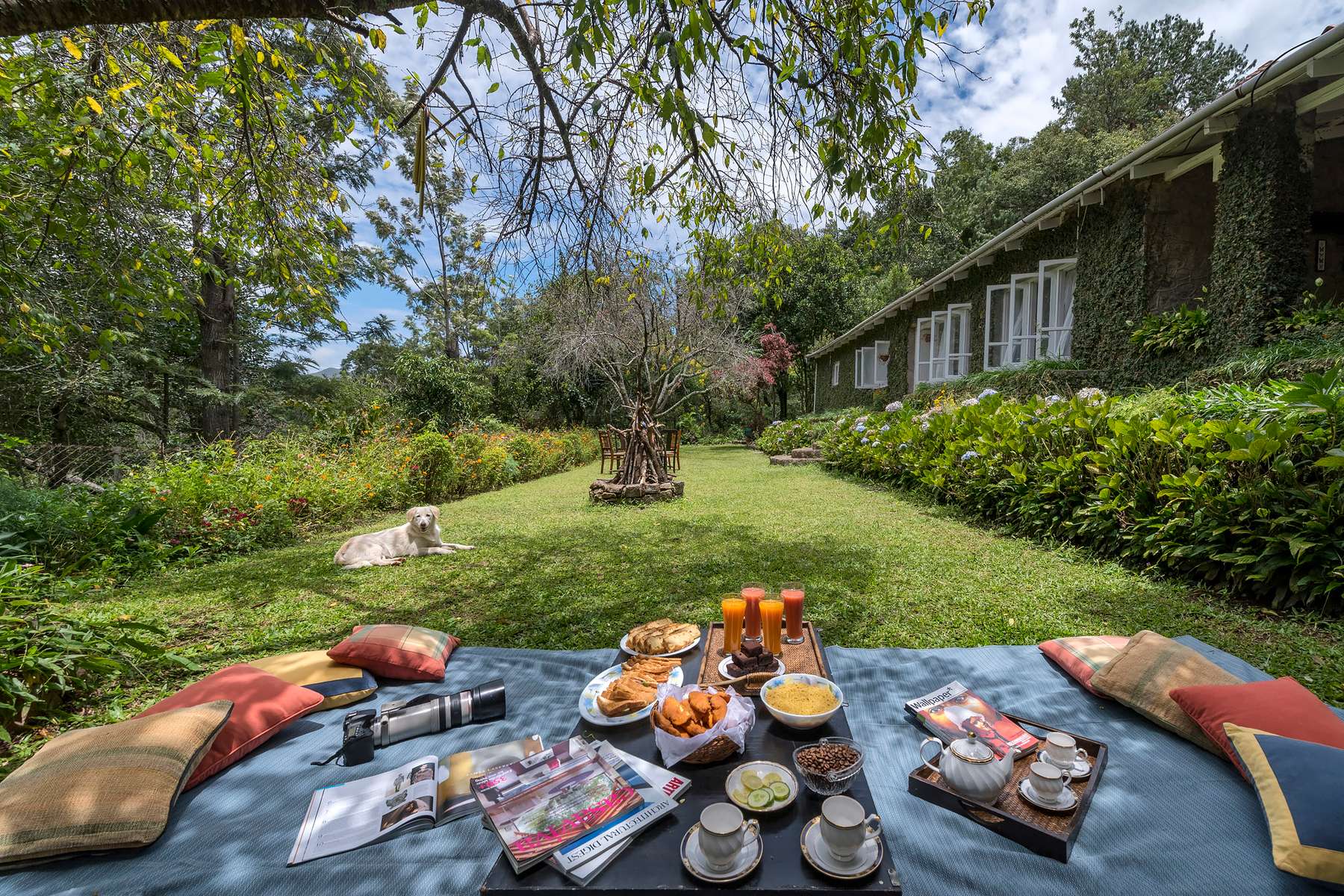 A Countryside Stay Amidst Coffee Plantations In Kodaikanal Image