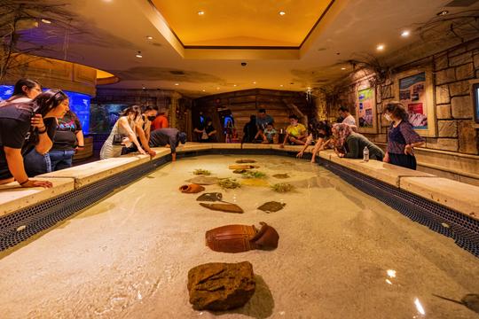 Shark Reef Aquarium & Undersea Explorer VR Experience Tickets Image