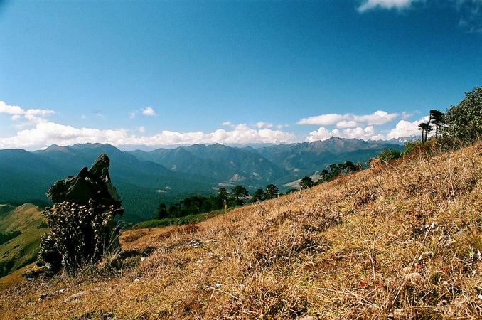 Bumthang Owl Trek