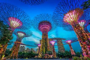 Gardens By The Bay