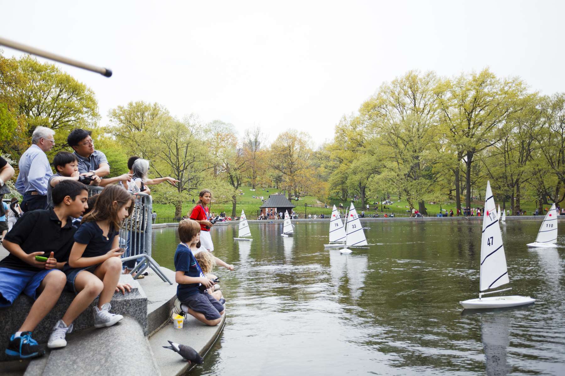 Central Park Walking Tour, New York Image