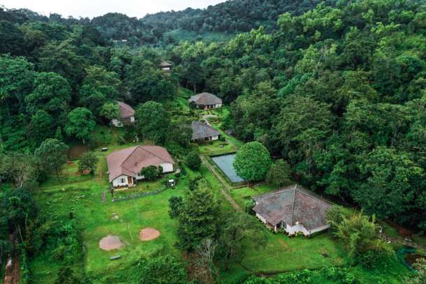 Abad Brookside Resort, Wayanad | Luxury Staycation Deal