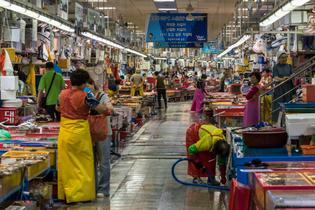 Jz9ikz84u0gh374j0k7xr40406oe 35927506292 49f14d6d7e o