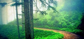 K04yves0s84rfsfvb1bx3lbt5yg1 1566481509 uttarakhand pahadi house 1445862781