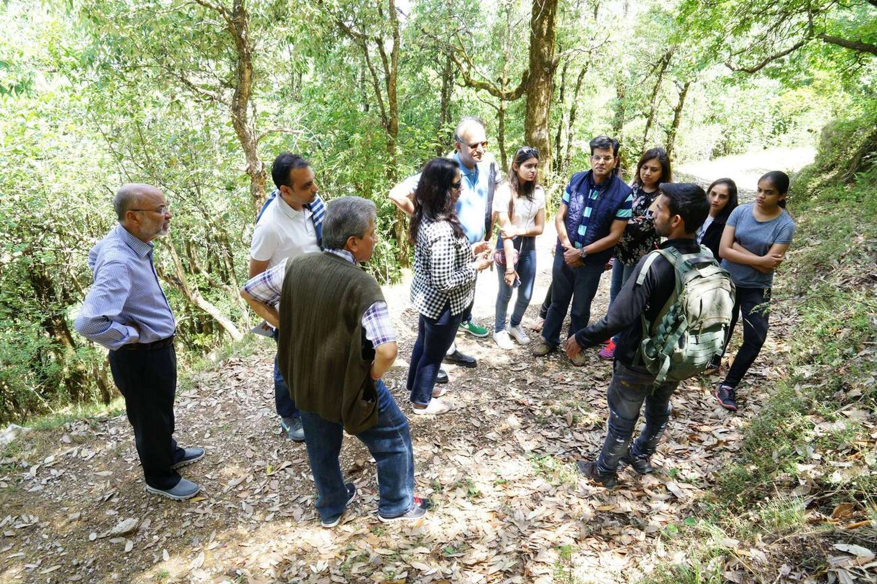 Forest Walk in Mussoorie Image