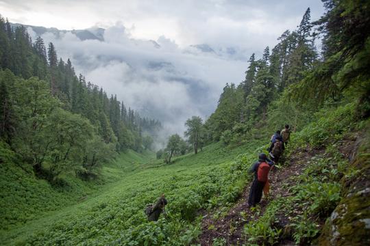 Malana Trek Image