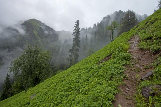 Malana Trek Image