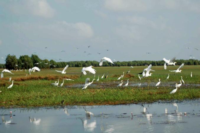 Bach Ma National Park