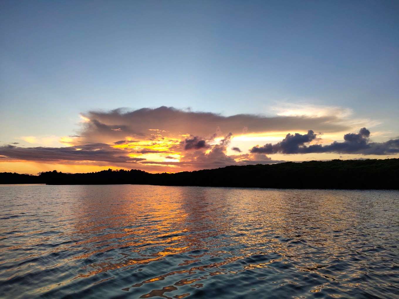 Parrot Island Day Trip from Baratang Image