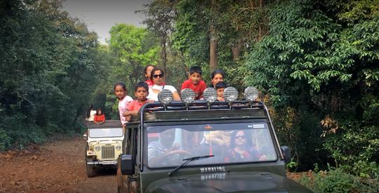 Dajipur Wildlife Sanctuary Safari Image