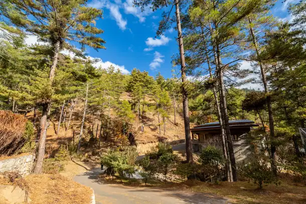 K8utlau6oa4darqbeeyutw3raeqa motithang%20takin%20preserve,%20thimphu