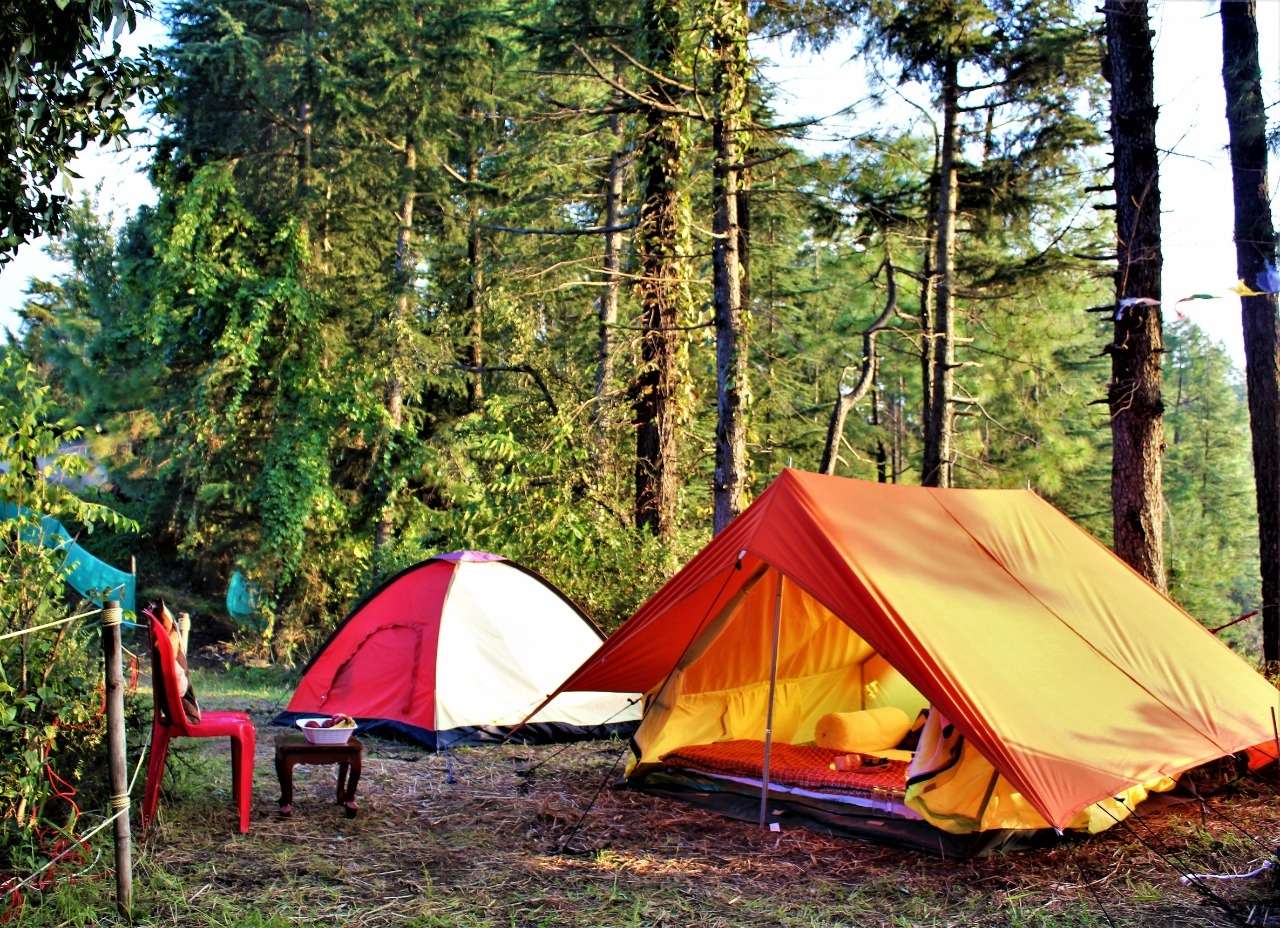 Valley View Camping in Shimla