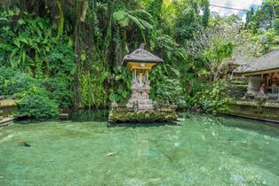 Kawvguqggyl3my01r2gafnckrmhp shutterstock 635255132%20(1)