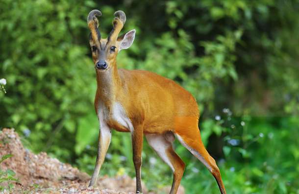 Kbhy5v06c0k4bx4vnx8zo1q8bneg dl.beatsnoop.com 3000 dacolnj0sn