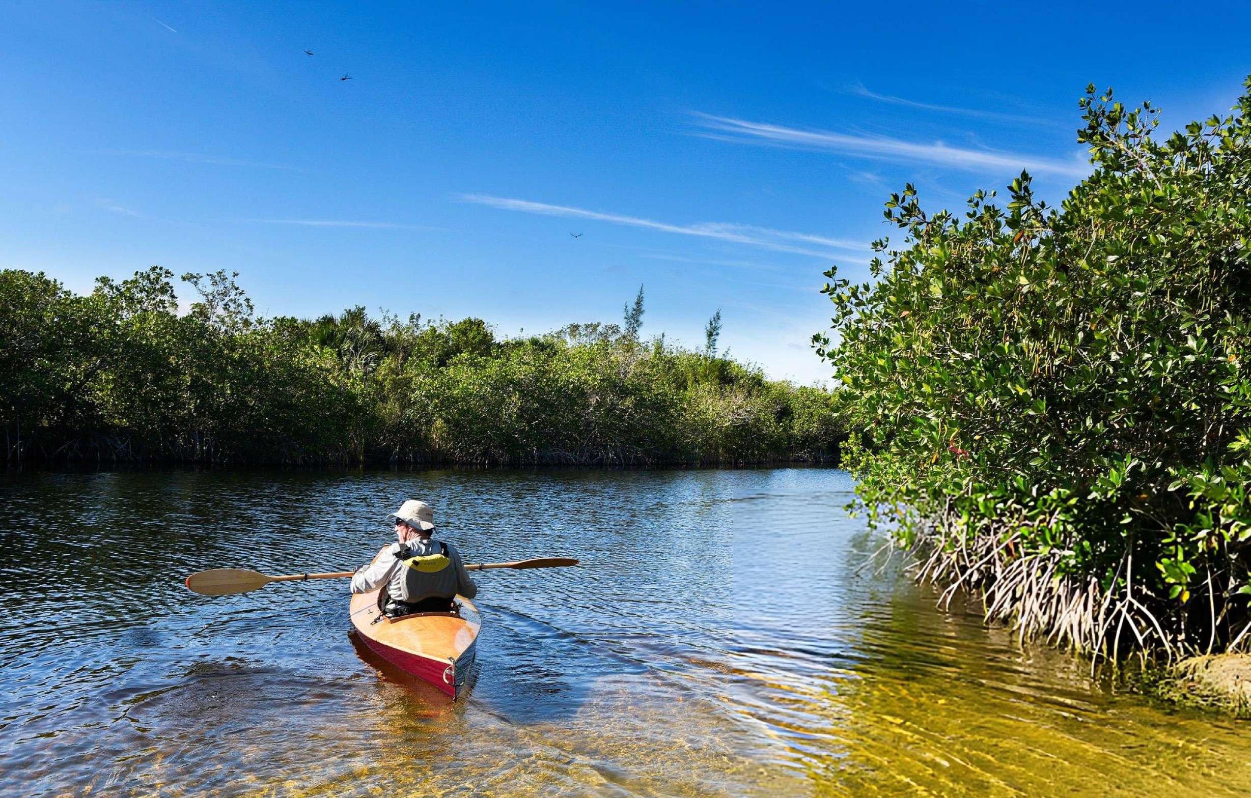 Mangrove Kayaking in Purple Island, Qatar