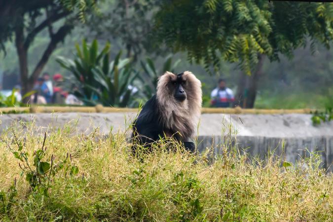 National Zoological Park