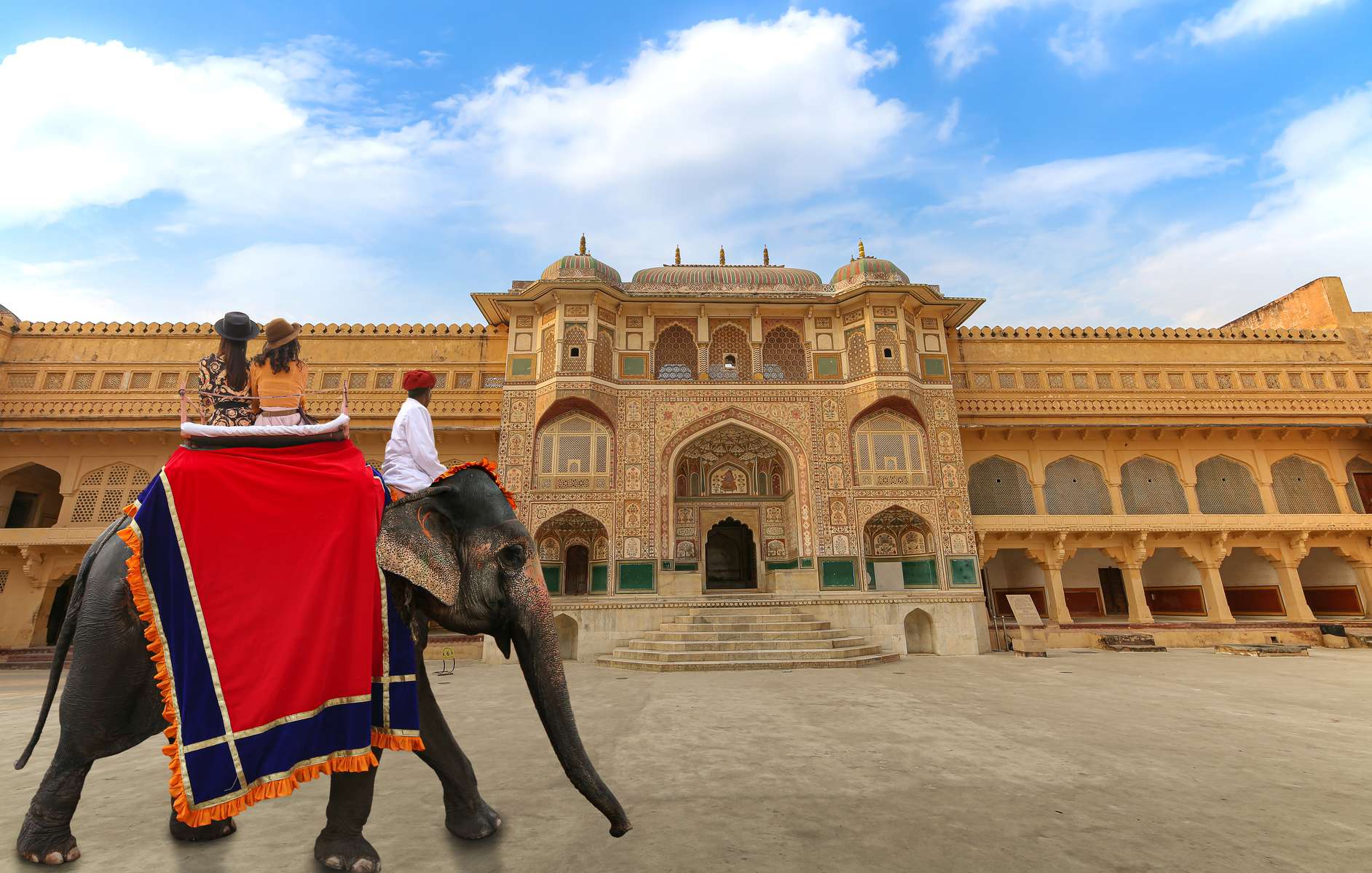 Explore Jaipur & Ranthambore | From Fortresses to Wildlife Image