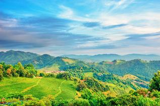 Kdf1u60n8om8gl4ziflow1himgqq 1554445567 shutterstock 763791562