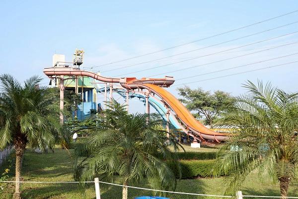 Dreamland Amusement Park