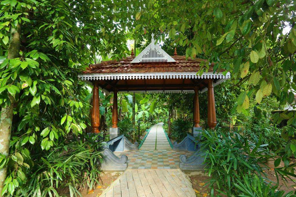 Once upon the River Kochi Image