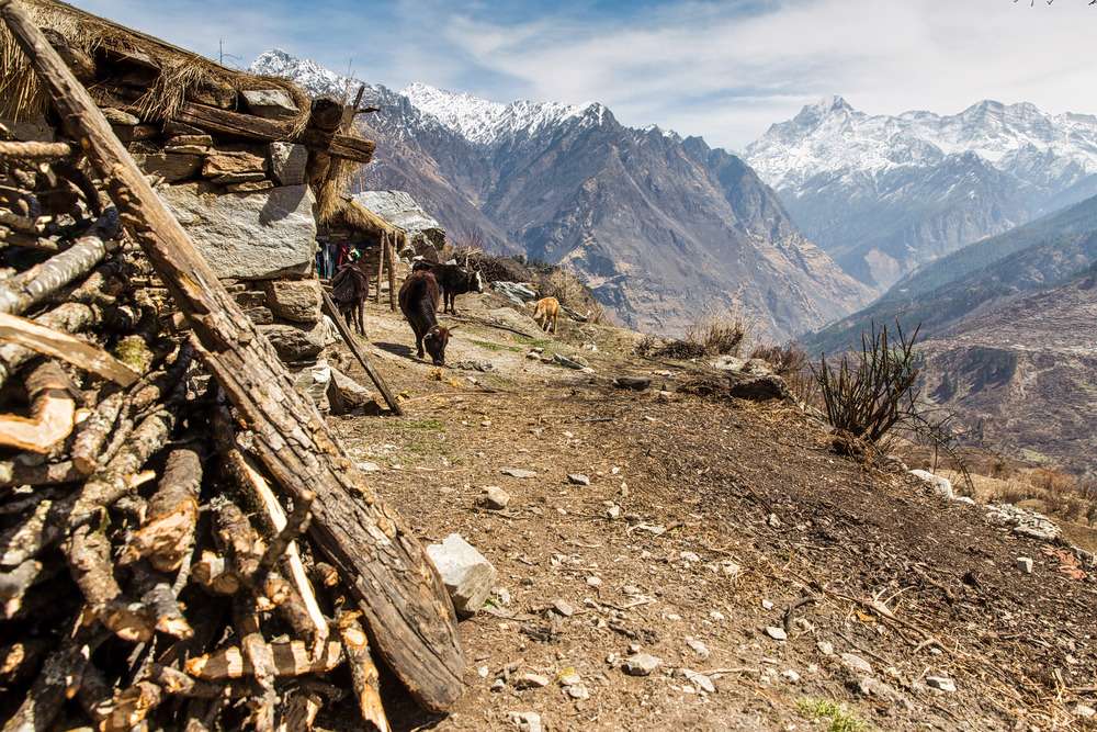 Pangarchulla Trek Image