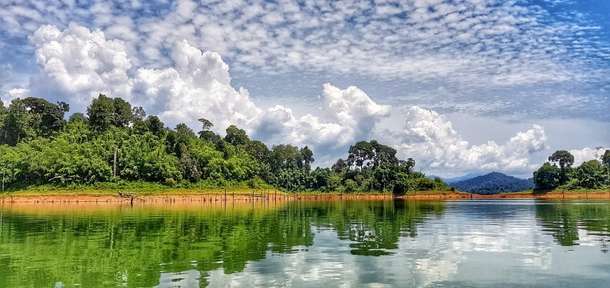 Kgq7dkrgc29qebzax8tcjy5tu2en 1558356344 pulse220918elhornbillsa 1537617642