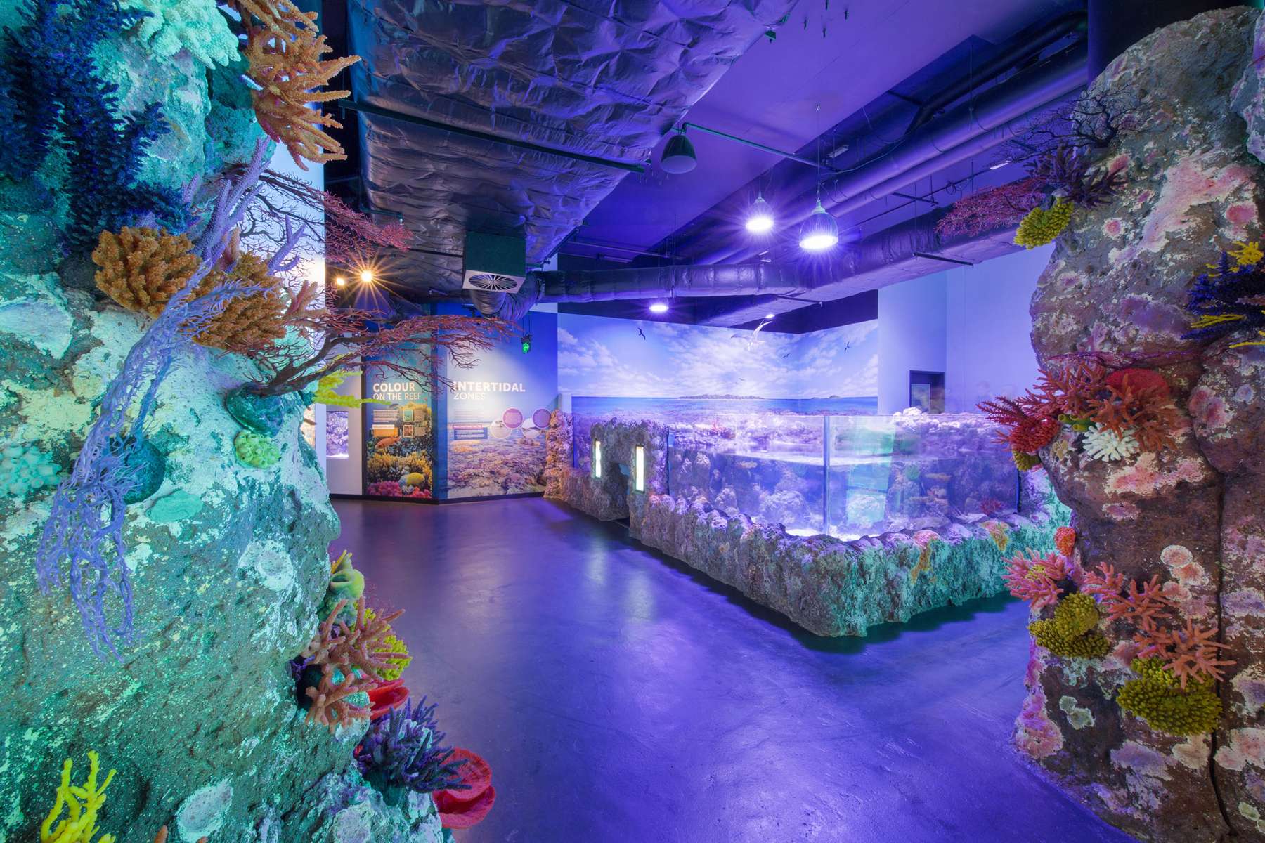 Cairns Aquarium Tickets Image