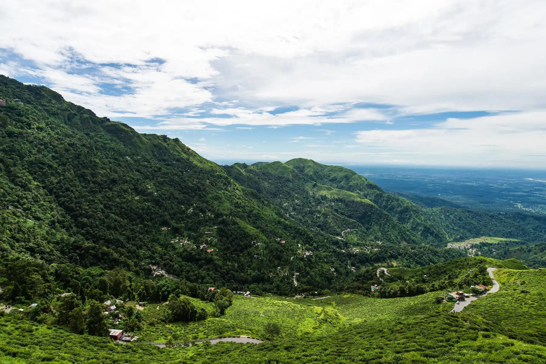 Experiential Ziro Valley Tour Package Image