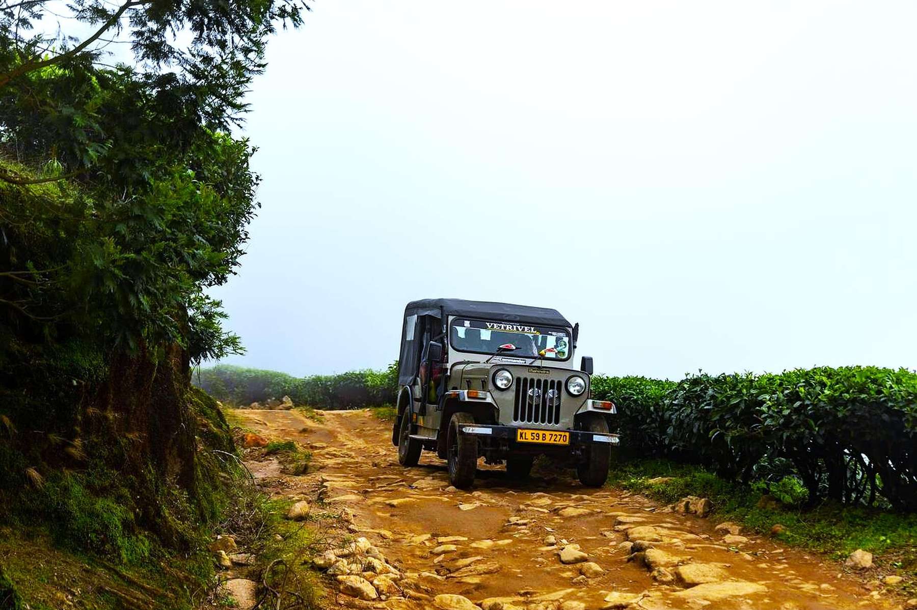 Camping with Trekking and Jeep Ride at Wayanad Image