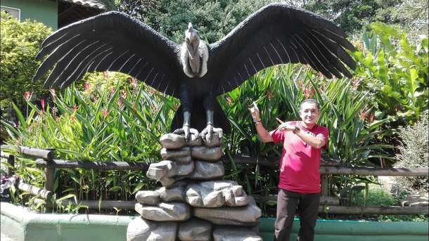 Explore Parque de la Conservación situated in the heart of Medellín