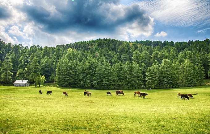 Dalhousie Kangra Western Himalaya Tour Package