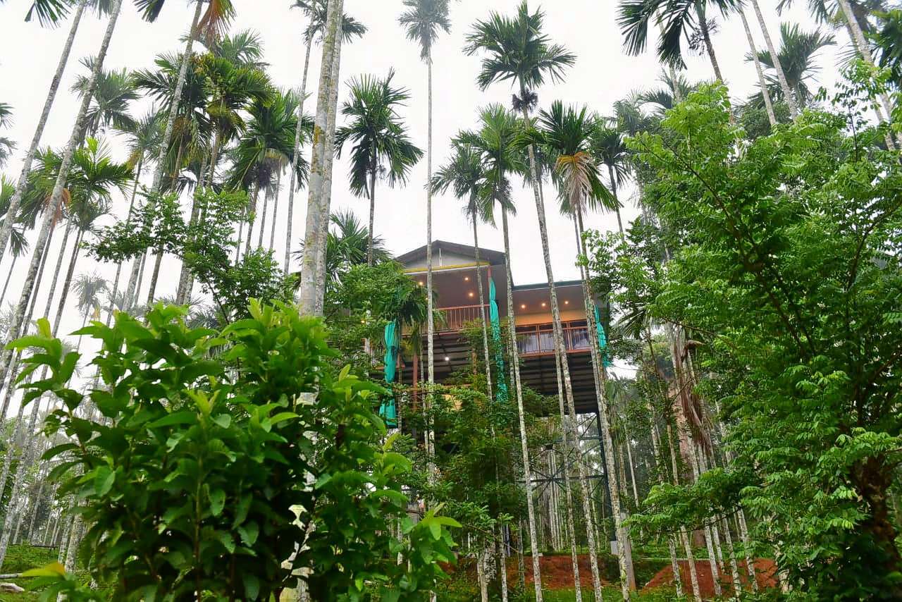 Exterior View of the Homestay