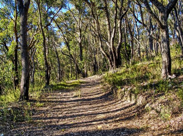 Belair National Park Holiday Park, Adelaide